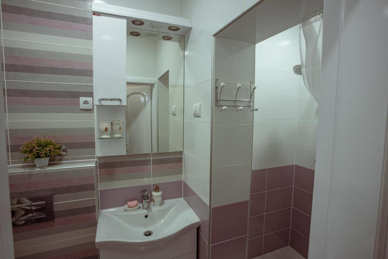 Studio Apartman Dona Nova Varoš エクステリア 写真
